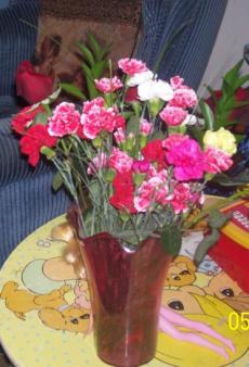 Mother's Day Flowers 2006 ~ Given to me by Hubby and son