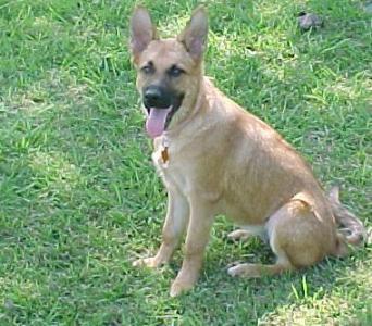 Freddi ~  My precious Freddi Lue Poopi Doo!!  