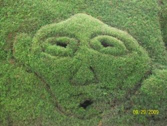 Face in the bush ~  Zarcero, Alvaro Ruiz, Alajuela, Costa Rica. One of the many faces Evangelico Blanco has carved in the wall of hedge surrounding his topiary gardens in Zarcero's park. 