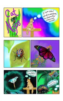 NIPS LOOKS AT God's Creations Part 2 ~ NIPS and I are often amazed by the diversity and stunning colors of nature!