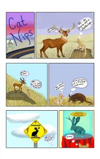 NIPS searches for the Jackalope ~ When I was about six on a cross country trip with family, I saw my first Jackalope!