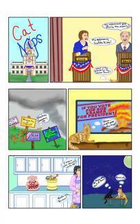 NIPS observes POLITICAL SEASON ~ It can be decisive, messy...and sometimes makes us indecisive.