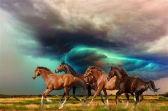 THUNDER ACROSS THE PRAIRIE  ~  No description included. 