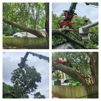Storm/Tree Damage Next Door 7-16-25 ~  No description included. 